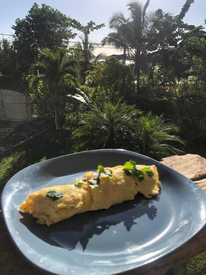 博卡斯德尔托罗Sol Y Sombra住宿加早餐旅馆 外观 照片